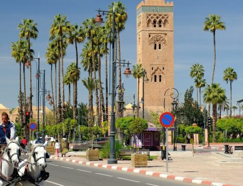Marrakech Marvels: A Comprehensive Guide to the Top 5 Places, Including the Captivating Medina Mall